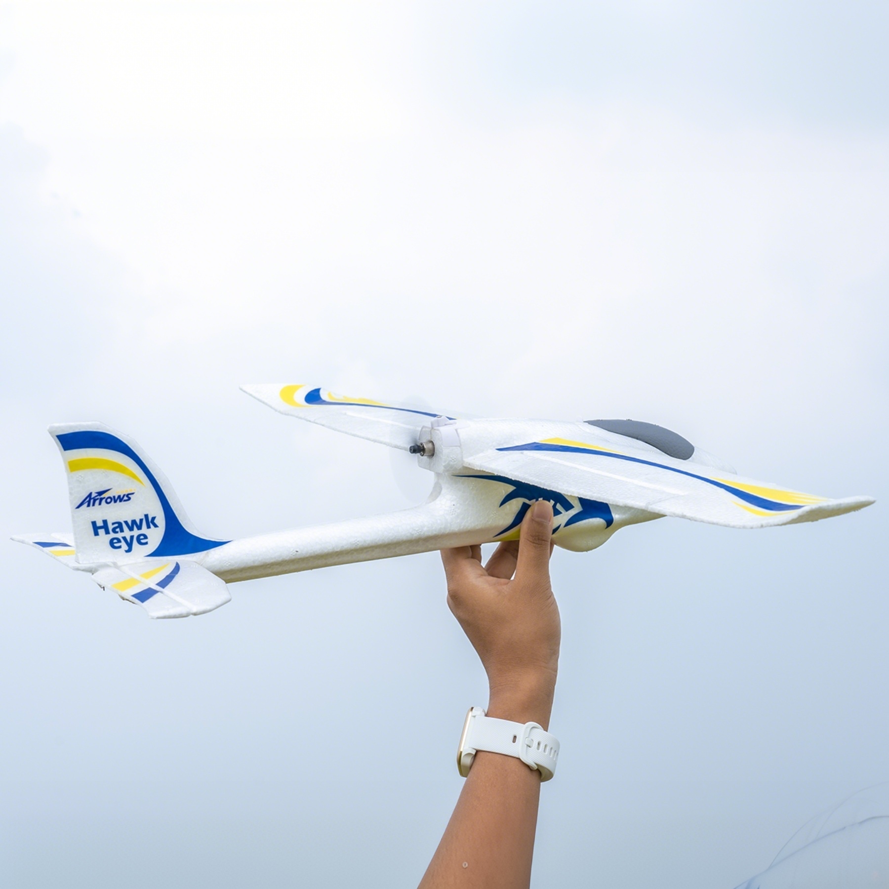 Arrows Hawkeye 600mm RTF